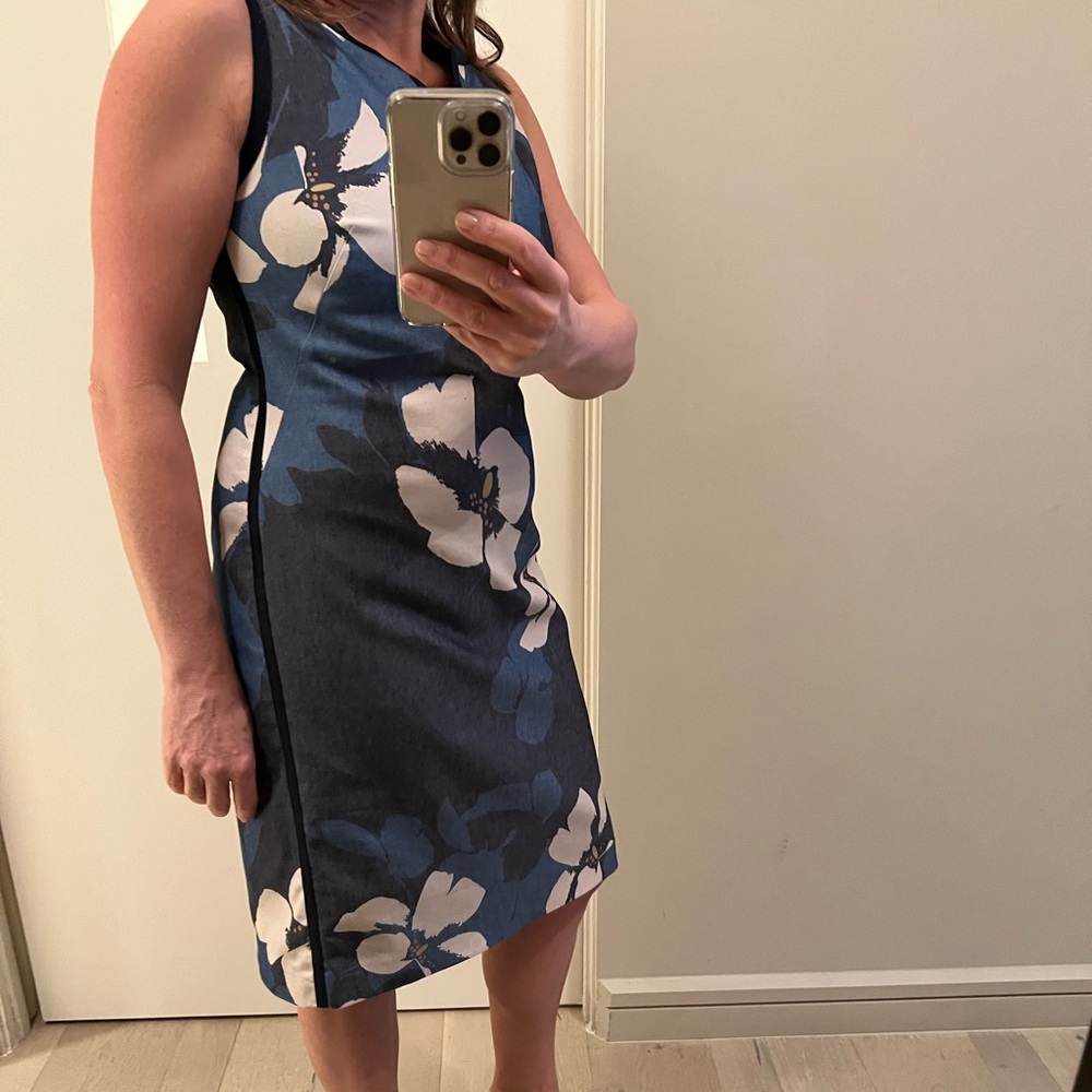 HOBBS dress